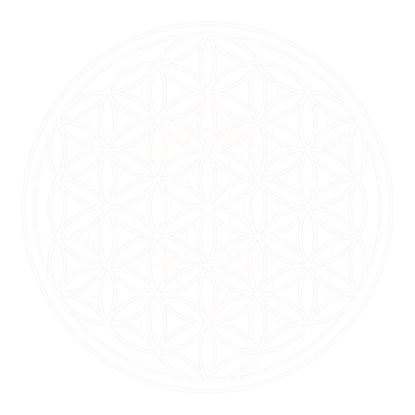 Logo Nathalie Follana
